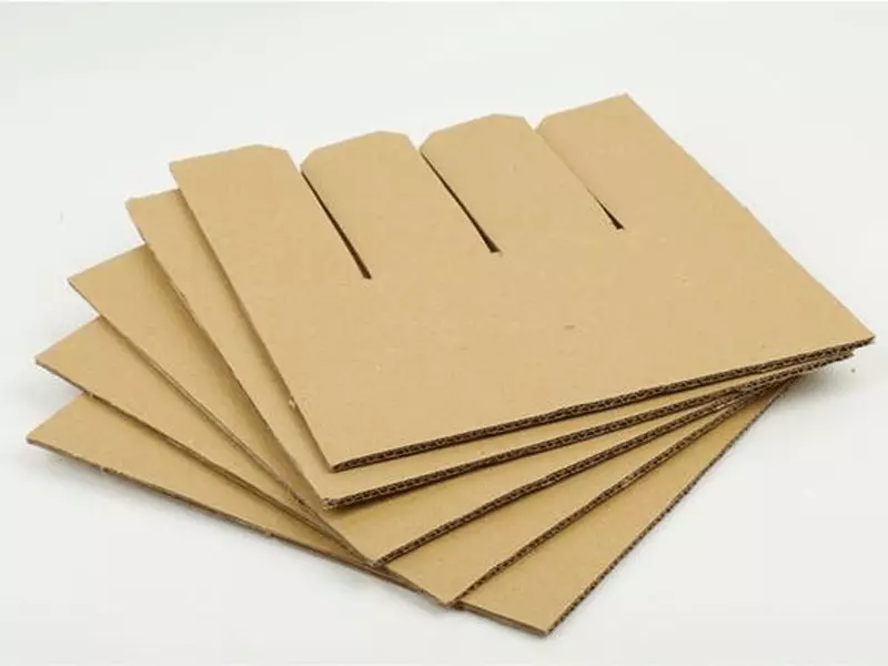 Sustainable Forestry: Responsible Raw Material for Paper Manufacturing